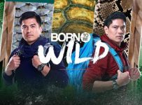 Born To Be Wild April 26 2026